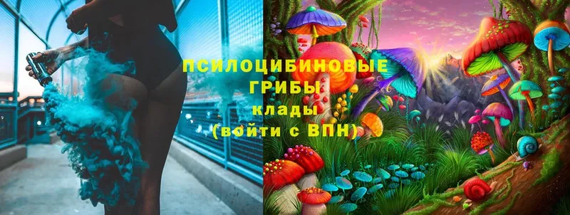 Галлюциногенные грибы MAGIC MUSHROOMS  купить наркотики цена  Лениногорск 